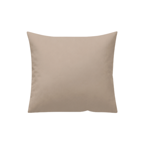 Lot de 2 taies Sable
