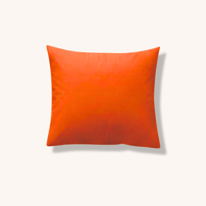 Lot de 2 taies safran
